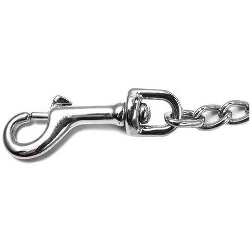 Dual head dog leash - dog,