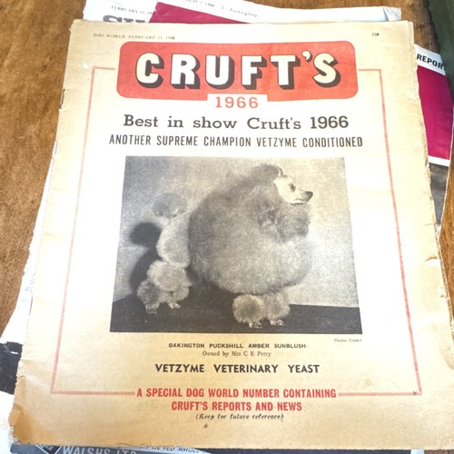Vintage 1966 crufts dog - 1966,