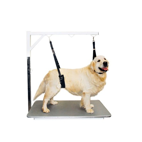 Show tech comfort dog belly - show,