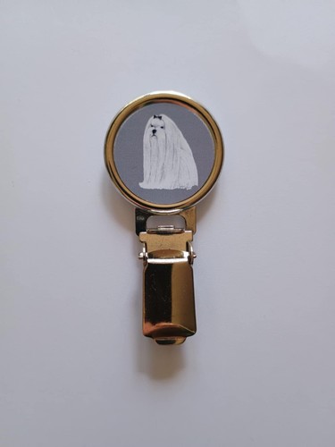 Maltese dog show ring - maltese,