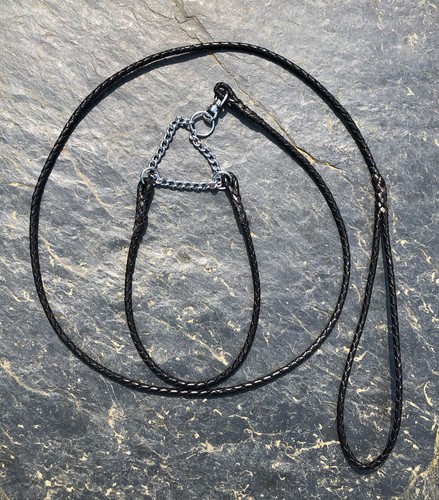 Dog show lead hand made - dog,