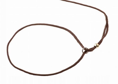 4wild 120cm brown - dog, lead