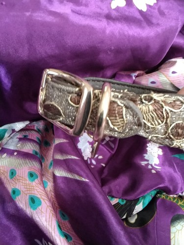 Show dog collar - collar, do&g