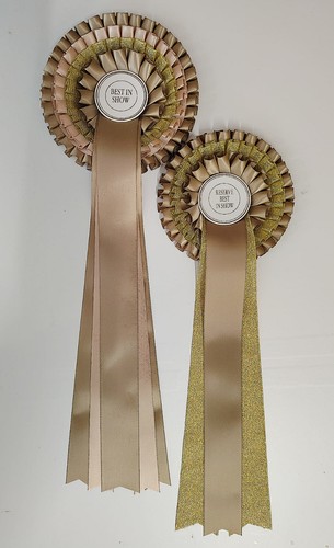 Best show reserve - best,