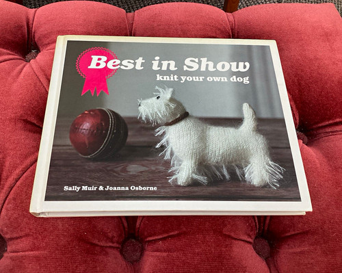 Knit your own dog knitting - knit,