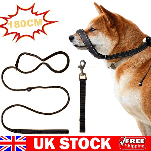 Figure dog lead with - 8,