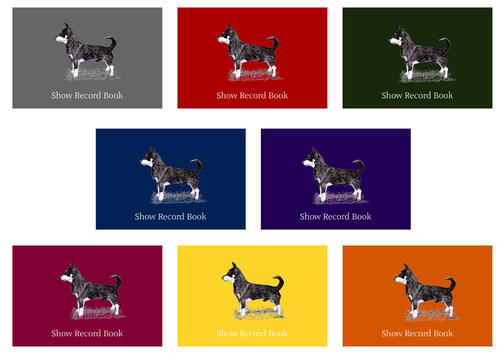 Lancashire heeler dog - dog, show