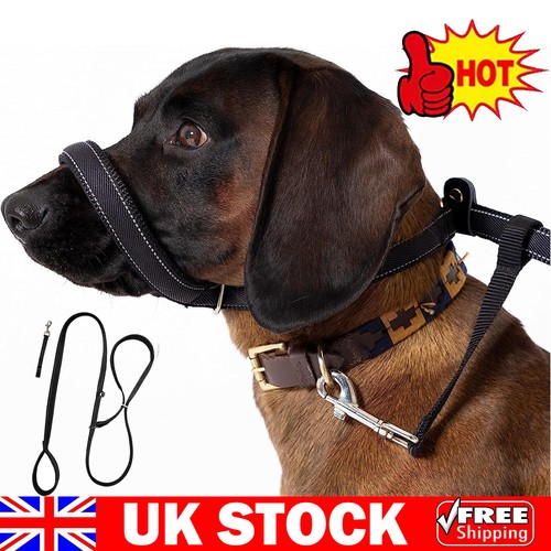 Slip lead for dogs durable - lead,