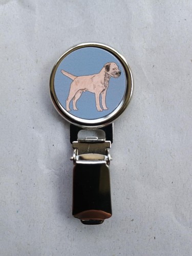 Border terrier dog show - dog,
