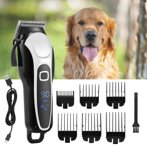 Pet dog grooming - dog,