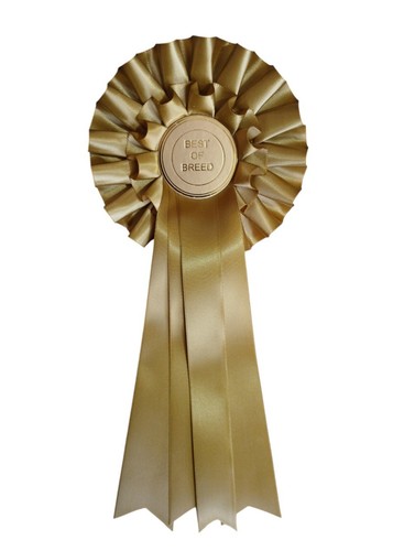 Best breed rosette gold - breed, in