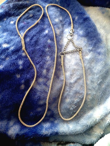 Diamanté dog show lead - , and