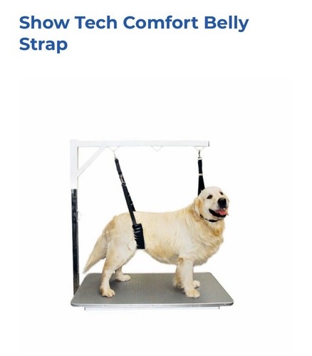 Brand new dog grooming - dog,