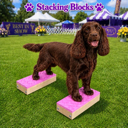Handcrafted dog training - handcrafted,