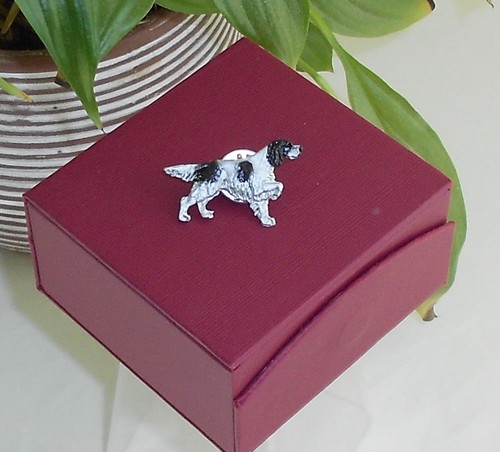 English setter black white - black, &