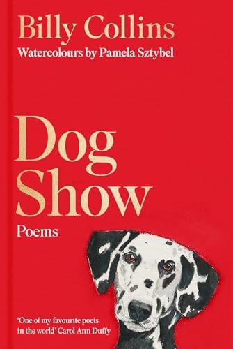 Dog show the perfect - dog,