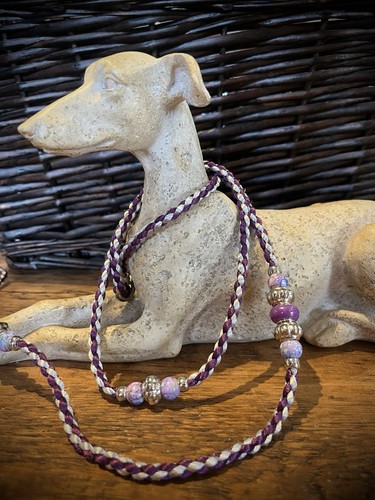 Dog show slip lead - dog,