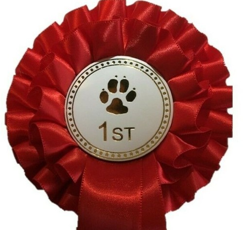Individual placing dog show - dog,