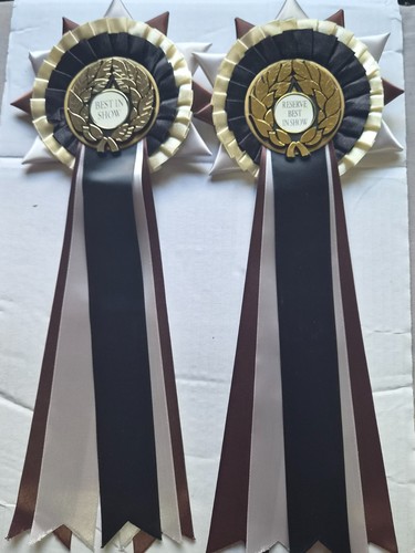 Pair reloved dog show