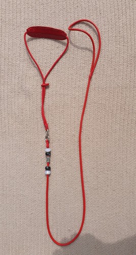 Dog show collar lead red - dog,