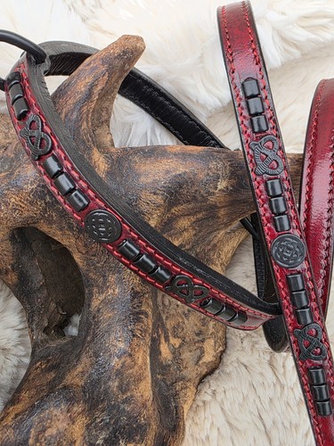 Staffy show dog collar and - dog,